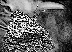 Skamielina