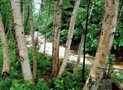 Oryginalny obrazek