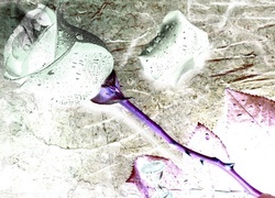 Negatyw