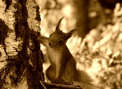 Sepia