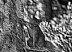 Skamielina