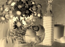 Sepia + Negatyw