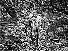 Skamielina