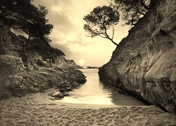 Szary + Sepia