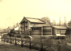 Szary + Sepia