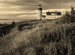Szary + Sepia