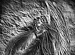Skamielina