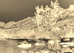 Sepia + Negatyw