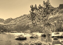 Szary + Sepia