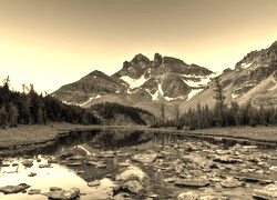 Sepia