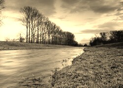 Szary + Sepia
