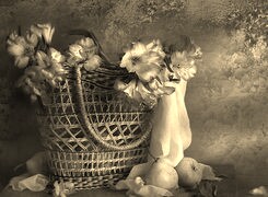 Szary + Sepia
