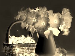 Sepia + Negatyw