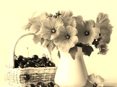 Szary + Sepia