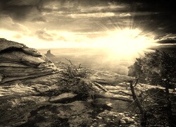 Szary + Sepia