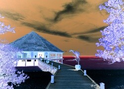 Negatyw