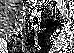 Skamielina