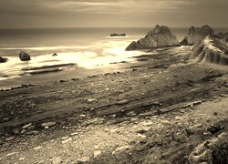 Szary + Sepia