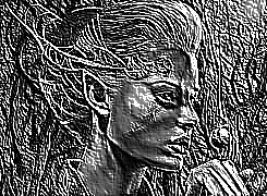Skamielina