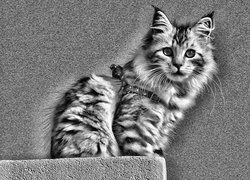 Szary