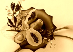 Sepia
