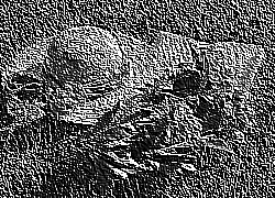 Skamielina