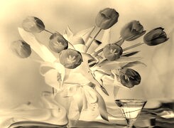 Sepia + Negatyw
