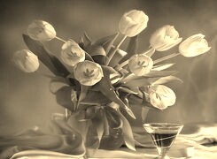 Szary + Sepia