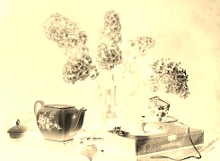 Sepia + Negatyw