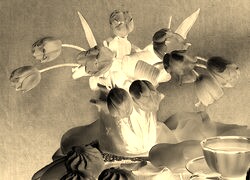 Sepia + Negatyw