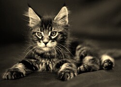 Sepia
