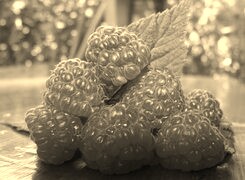 Szary + Sepia