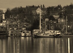 Szary + Sepia