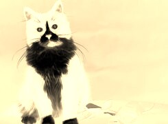 Sepia + Negatyw