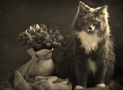 Szary + Sepia