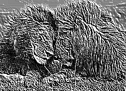 Skamielina