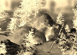 Sepia + Negatyw