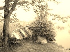 Sepia