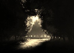 Szary + Sepia
