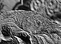 Skamielina