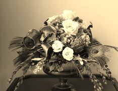 Szary + Sepia