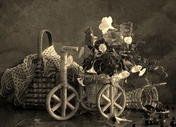 Szary + Sepia