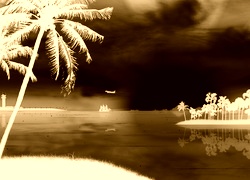 Sepia + Negatyw