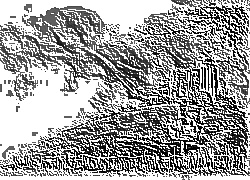 Skamielina