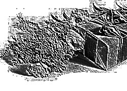 Skamielina