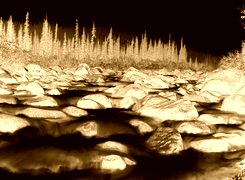 Sepia + Negatyw