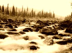 Sepia