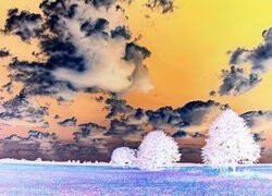 Negatyw