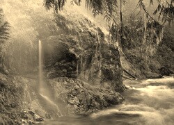 Sepia