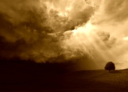 Sepia